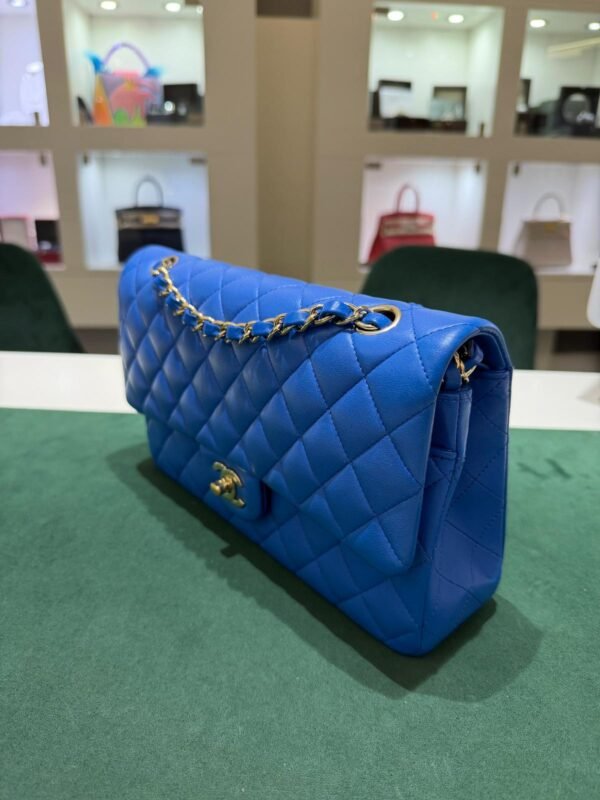 Chanel Classic Double Flap Bag Medium (25,5 &times; 16 &times; 7,5 cm)