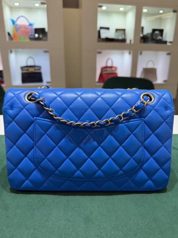 Chanel Classic Double Flap Bag Medium (25,5 &times; 16 &times; 7,5 cm)