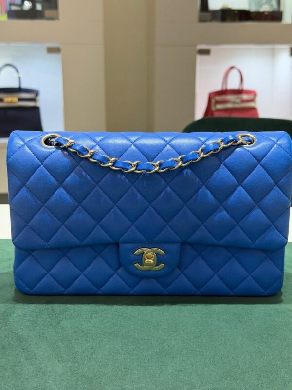 Chanel Classic Double Flap Bag Medium (25,5 &times; 16 &times; 7,5 cm)
