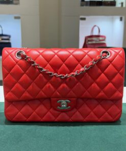 Chanel Classic Double Flap Bag Medium