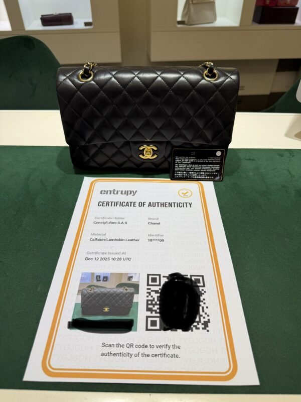 WhatsApp Image 2025-12-14 at 12.30.08 (1) Chanel Classic Double Flap Bag Medium noir nero