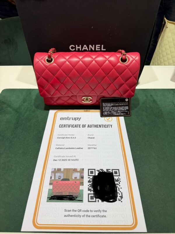 Chanel Classic Double Flap Bag Medium fragola
