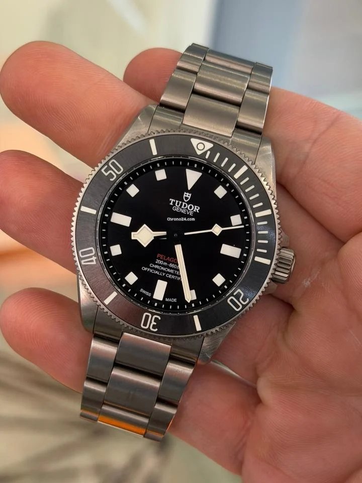 Tudor Pelagos - Image 11