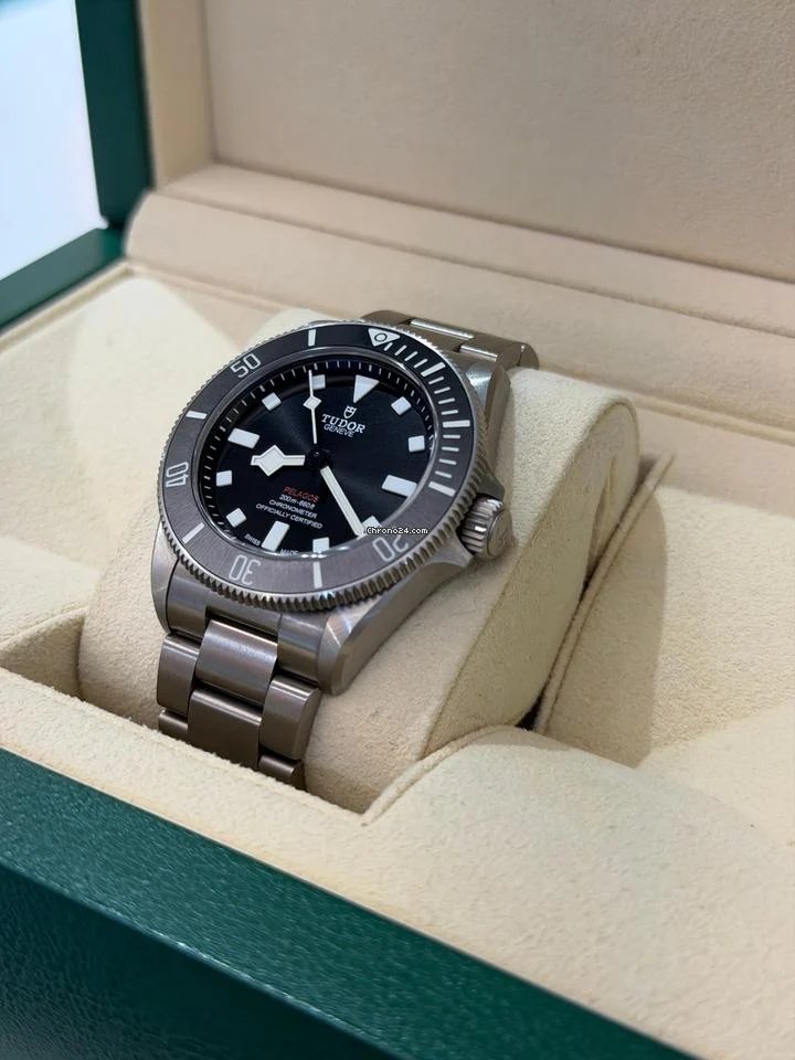 Tudor Pelagos - Image 3