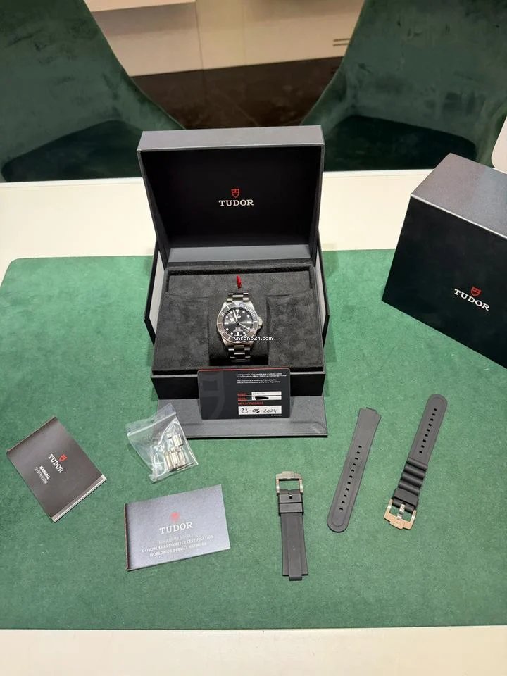 Tudor Pelagos - Image 2