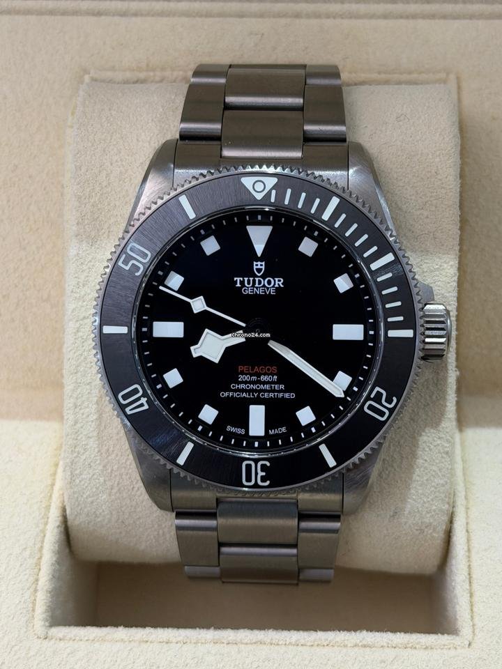 Tudor Pelagos - Image 10