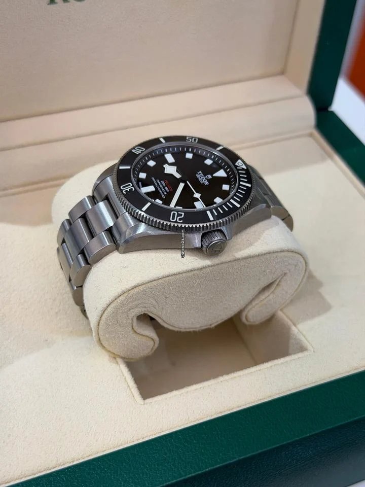 Tudor Pelagos - Image 9