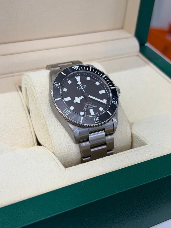 Tudor Pelagos - Image 7