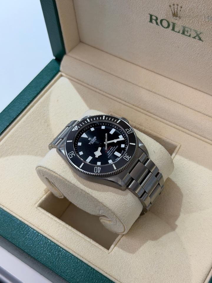 Tudor Pelagos - Image 5