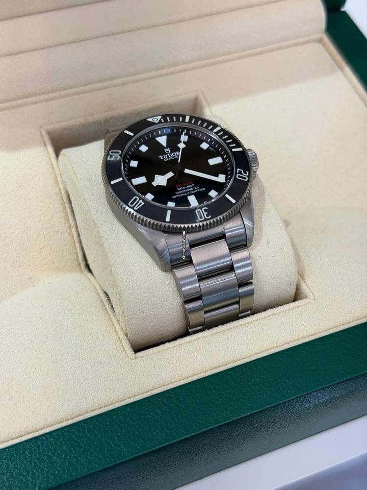 Tudor Pelagos - Image 4