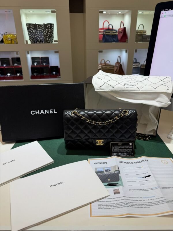 Chanel Classic Double Flap Bag