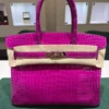 Hermès Birkin 30 CROCODYLUS POROSUS second hand fuxia del 2022 full set top condition hardware in palladio