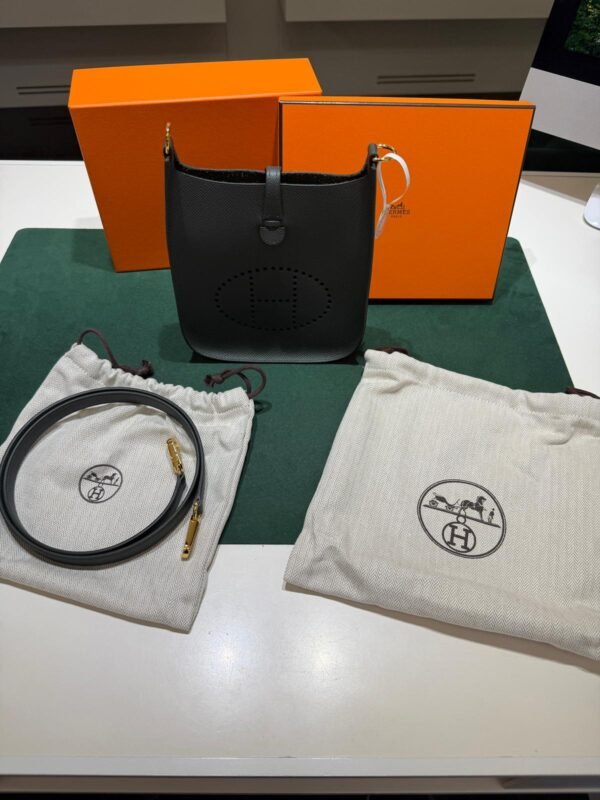 WhatsApp Image 2026-06-10 at 10.37.44 (1) Hermès Evelyne 16 Sellier Vert Mangrove del 2025