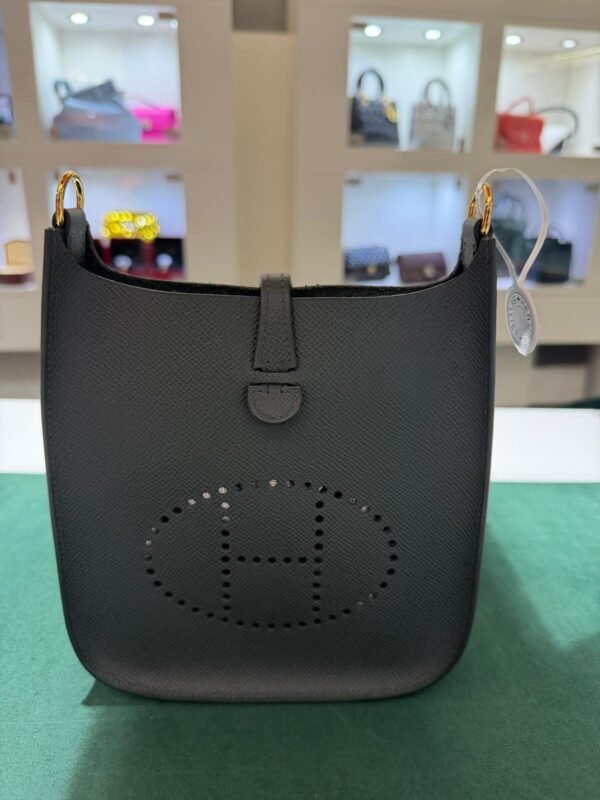 WhatsApp Image 2026-06-10 at 10.37.44 Hermès Evelyne 16 Sellier Vert Mangrove del 2025