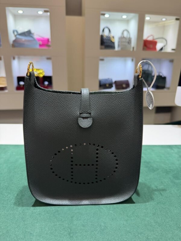 WhatsApp Image 2026-06-10 at 10.37.45 (1) Hermès Evelyne 16 Sellier Vert Mangrove del 2025
