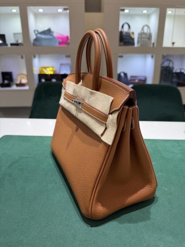 WhatsApp Image 2026-06-10 at 10.42.00 (4) Hermès Birkin 25 retourne veau togo colore GOLD