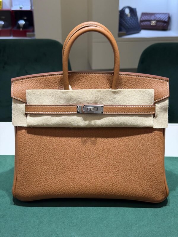 WhatsApp Image 2026-06-10 at 10.42.00 Hermès Birkin 25 retourne veau togo colore GOLD