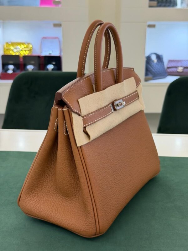 WhatsApp Image 2026-06-10 at 10.42.01 (4) Hermès Birkin 25 retourne veau togo colore GOLD