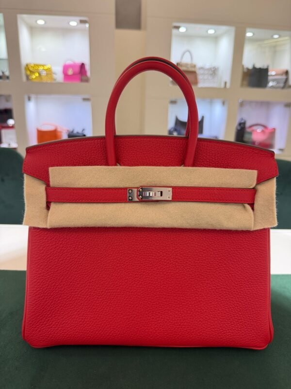 Hermès Birkin 25 retourne veau togo colore Rouge radie ( rosso piccione ) stampa K NUOVA 2026